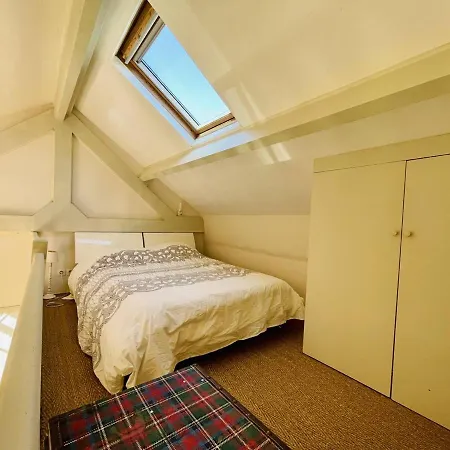 Maison Arcachon: Proche Centre, Et Parc. Terrasse Ensoleillee, 2 Mezzanines, Animaux Acceptes. - Fr-1-433-101 Holiday home
